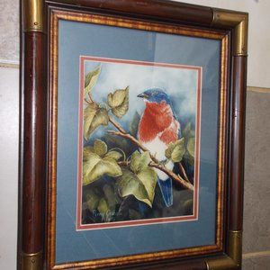 Gorgeous Vintage Bird Art by Penny Graham 1993, signed & professionally framed